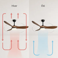 Plafonnier Ventilateur Silencieux Bois Foncé et Noir LED en ambiance
