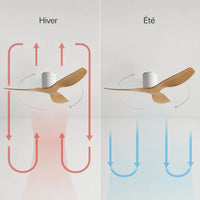 Plafonnier Ventilateur Silencieux Design Plat Bois Clair vu de face