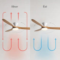 Plafonnier Ventilateur Silencieux Bois Naturel Moderne LED en ambiance