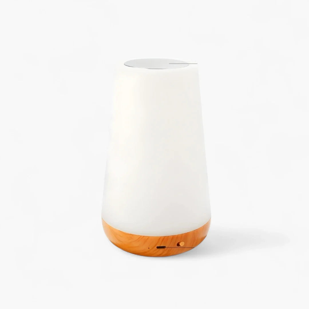 Lampe de Chevet LED RGB 13