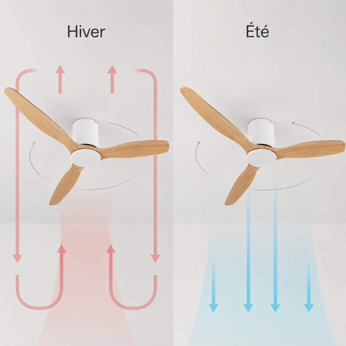 Plafonnier Ventilateur Silencieux Bois Clair et Blanc - dimensions