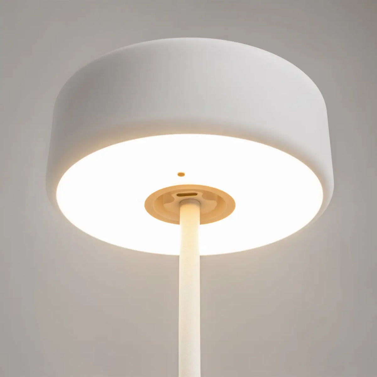 Trois lampes de chevet rechargeables alignées sur une table à manger