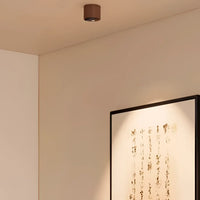 Plafonnier LED Bois et Chrome