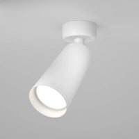 Applique murale orientable dirigeant un faisceau lumineux vers un tableau., vue 12