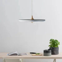 Lampe Suspendue Métal Mat pour Cuisine